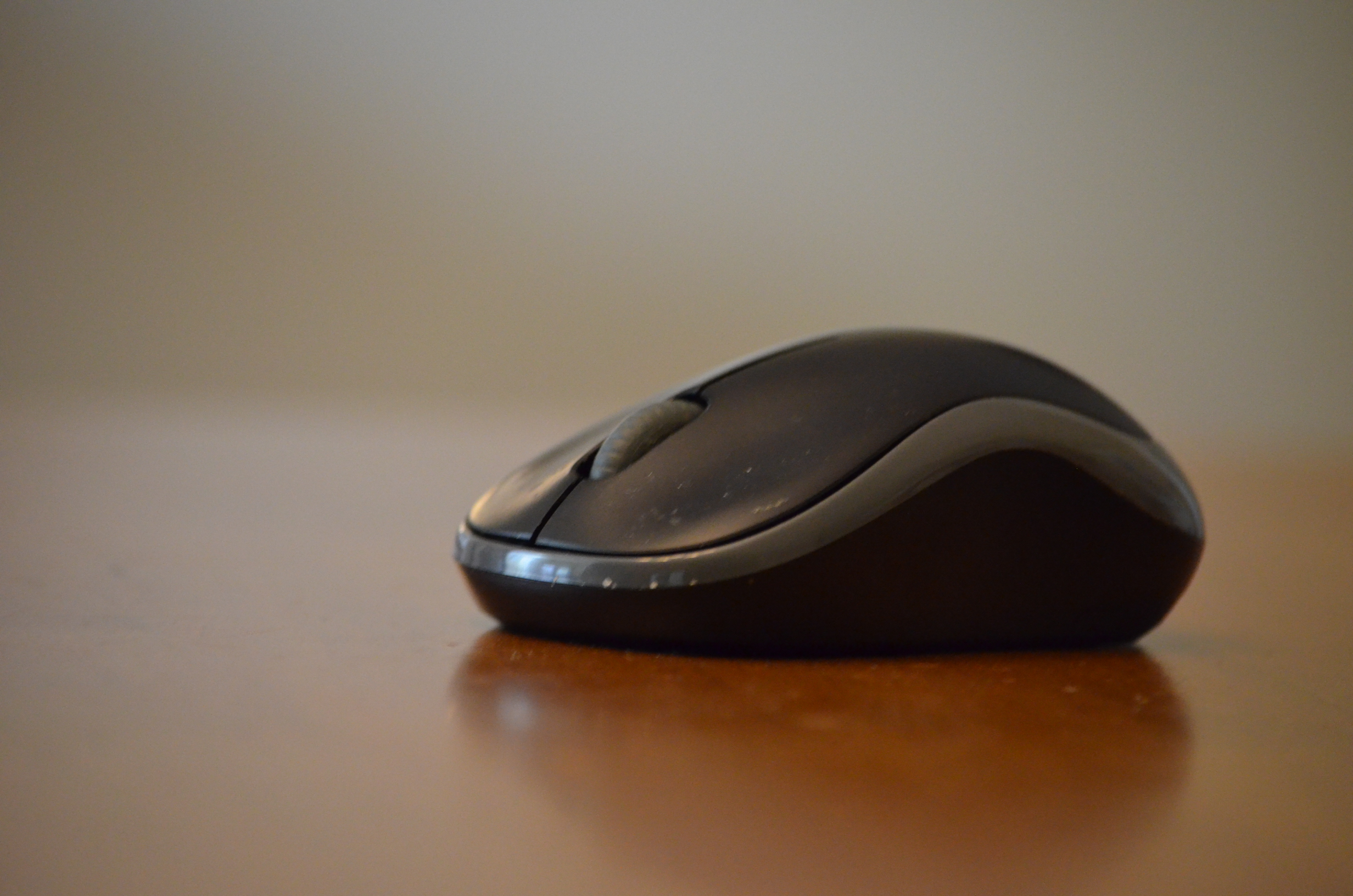 Mouse Photograph Third