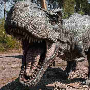 Dinosaur 3.wav by JarredGibb. (2026). Freesound. https://freesound.org/people/JarredGibb/sounds/233278/  Link to image - Unsplash. (2025). T Rex Pictures | Download Free Images on Unsplash. Unsplash.com; Unsplash. https://unsplash.com/s/photos/t-rex
      ‌
      ‌