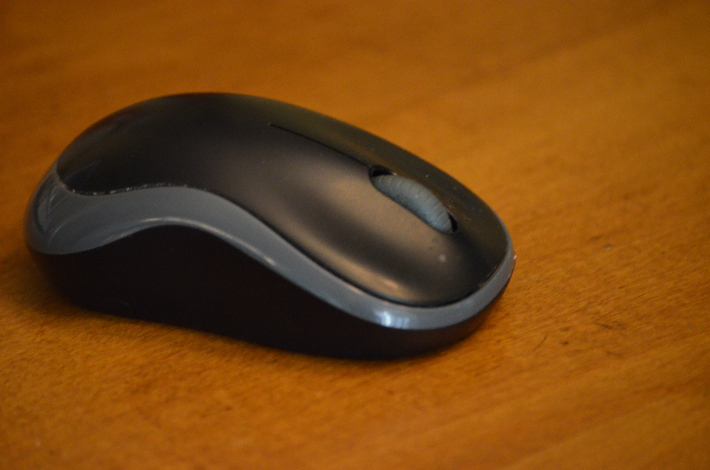 Photo of other side of mouse